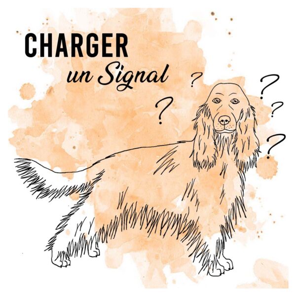 Charger Un Signal cours en ligne