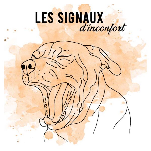 Les Signaux D'inconfort cours en ligne