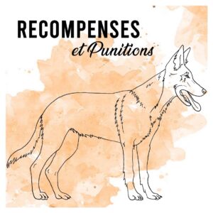 Récompense Et Punition cours en ligne