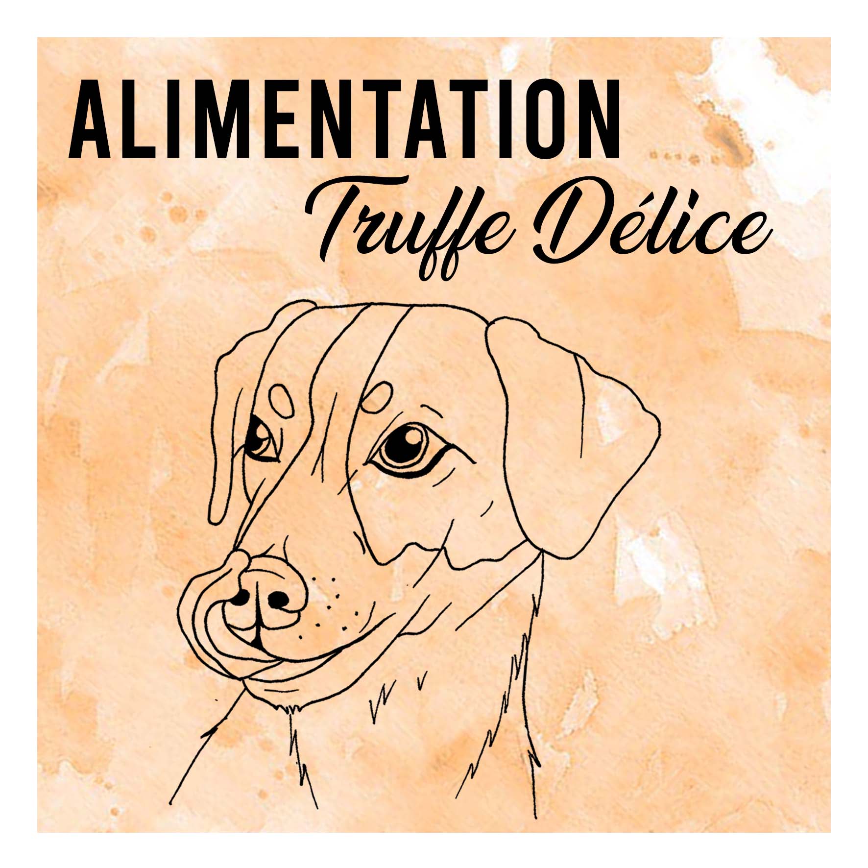 les risques de l'été pour les chiens article