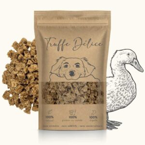 Alimentation naturelle pour chien