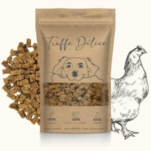Alimentation naturelle pour chien