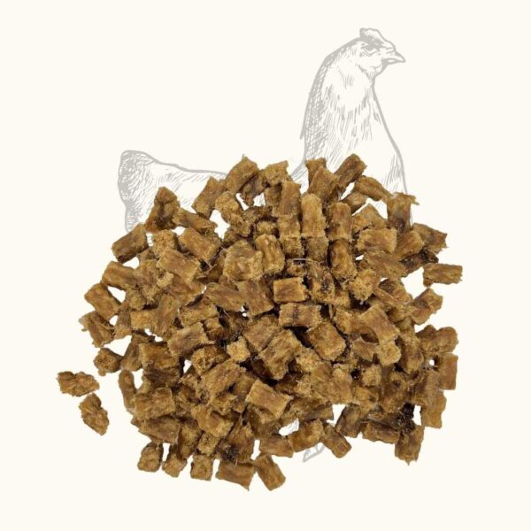 Alimentation naturelle pour chien