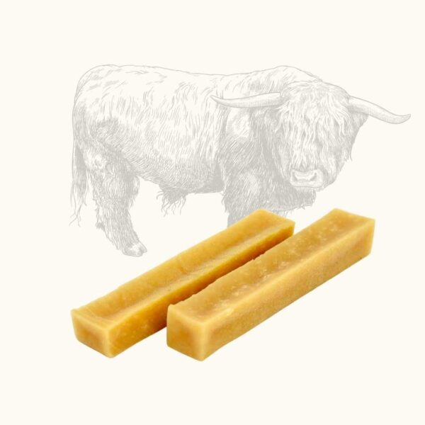 friandise canine mastication