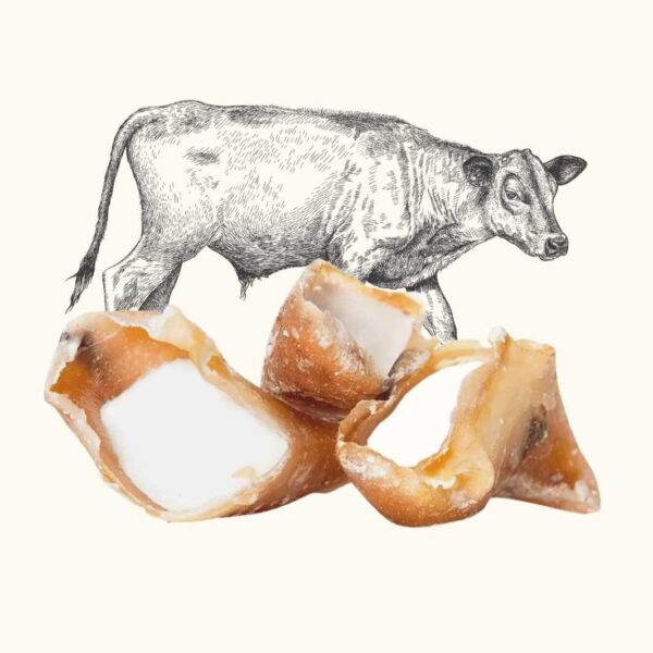 Friandise de mastication