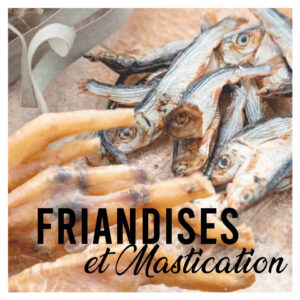 Friandises et Mastication