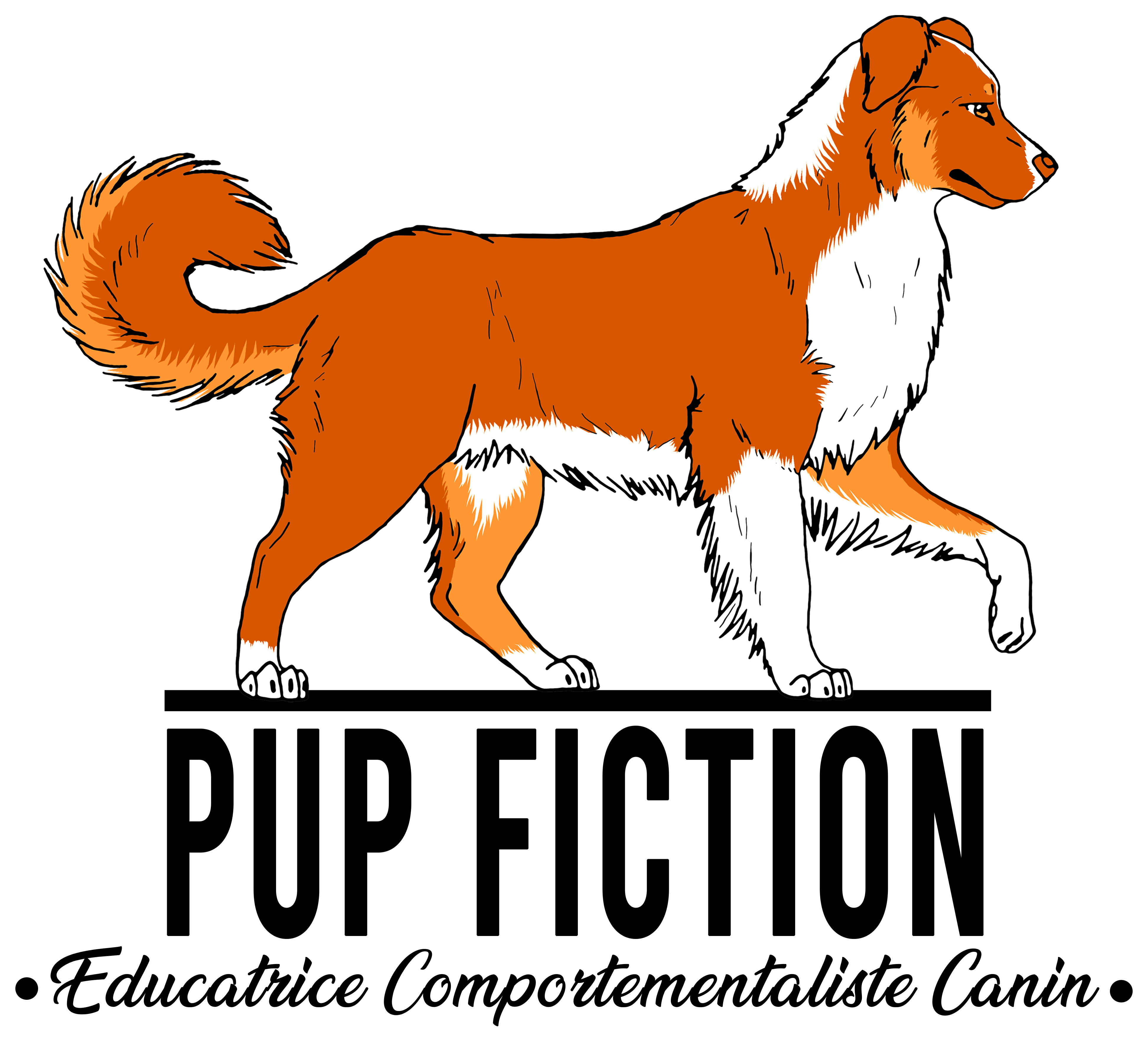Pup Fiction Educateur Comportementaliste Canin montpellier prades le lez Pup Fiction Educateur Comportementaliste Canin montpellier prades le lez