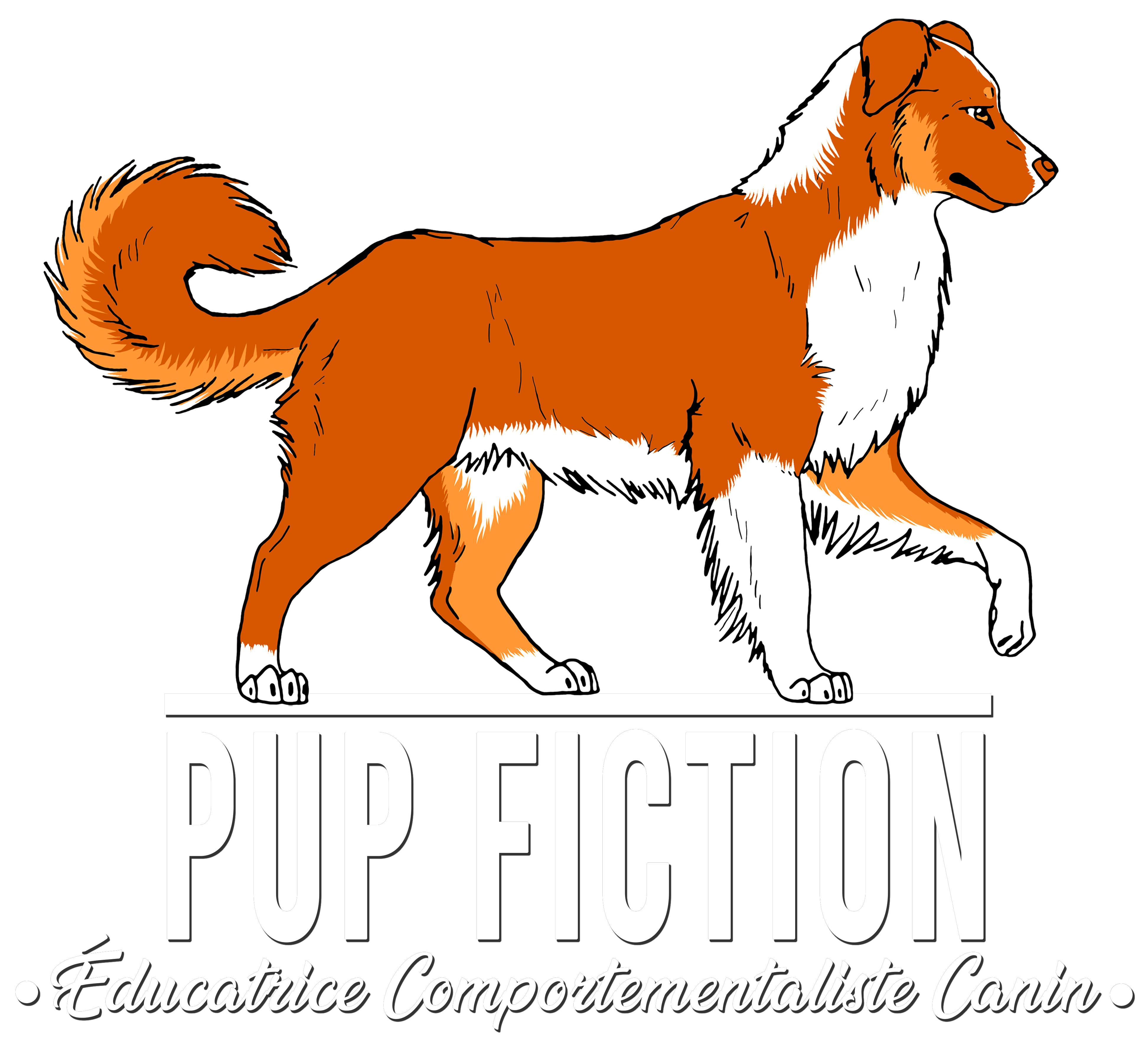 Pup Fiction Educateur Comportementaliste Canin montpellier prades le lez