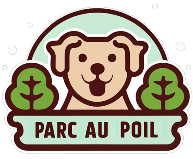 Éducatrice comportementaliste canine travaillant avec un chien en extérieur